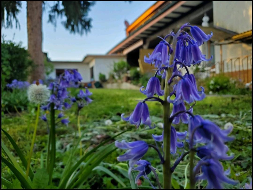 Appartement Goldstueck Im Gruenen à Bad Schönborn Extérieur photo